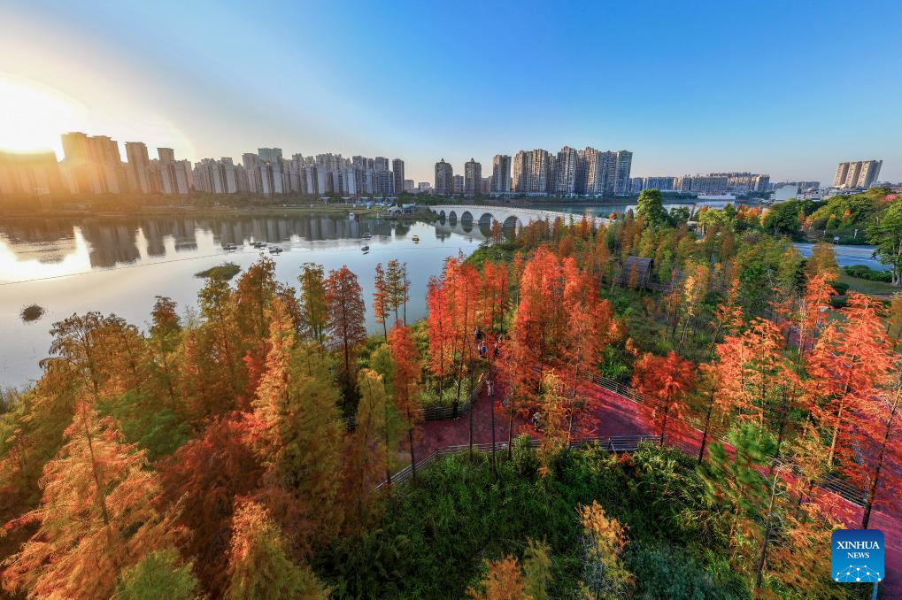 Foto dron bertarikh 15 Disember 2025 menunjukkan panorama musim sejuk Taman Canghai di Wuzhou, Wilayah Autonomi Zhuang Guangxi, selatan China. (Foto oleh He Huawen/Xinhua)