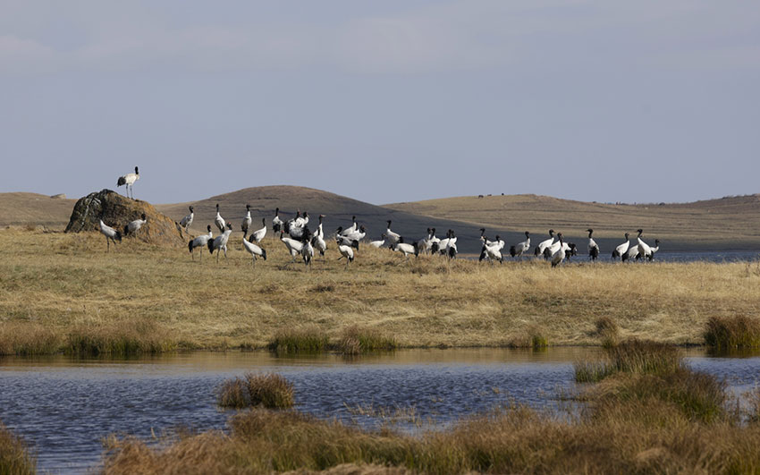 Yunnan Serlah Keharmonian Manusia dan Alam
