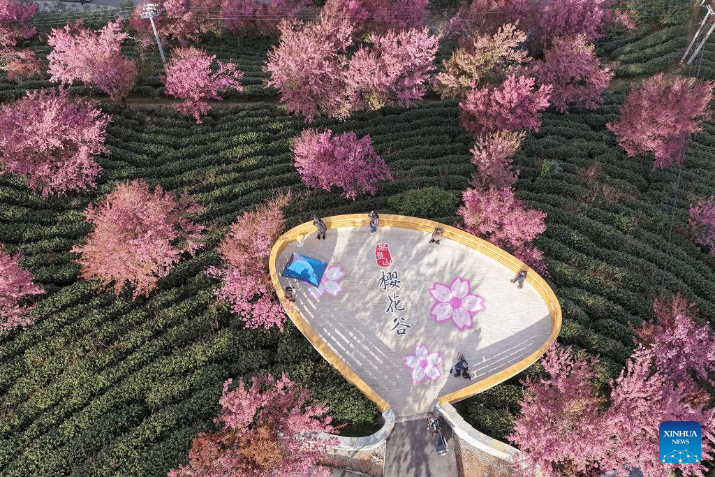 Orang ramai melawat Gunung Wuliang di kaunti autonomi Yi Nanjian, provinsi Yunnan, barat daya China, 24 Disember 2025. (Xinhua/Gong Zujin)