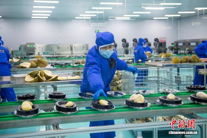 Durian Sejuk Beku Indonesia Masuki Pasaran China