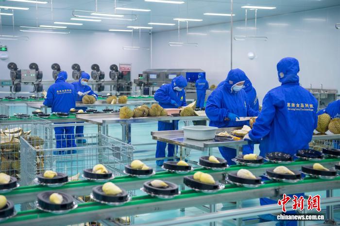 Durian Sejuk Beku Indonesia Masuki Pasaran China