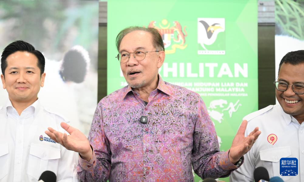 Pasangan Panda Gergasi ‘Chen Xing’ dan ‘Xiao Yue’ Tampil di Hadapan Khalayak di Zoo Negara