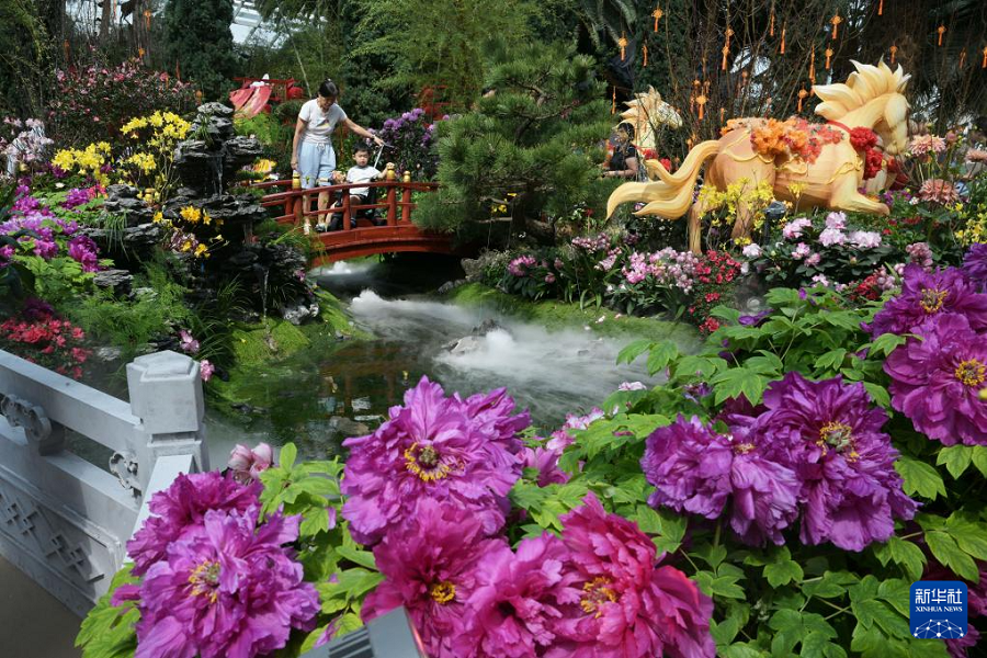 Lapan Kuda Bawa Keajaiban TBC ke Singapura