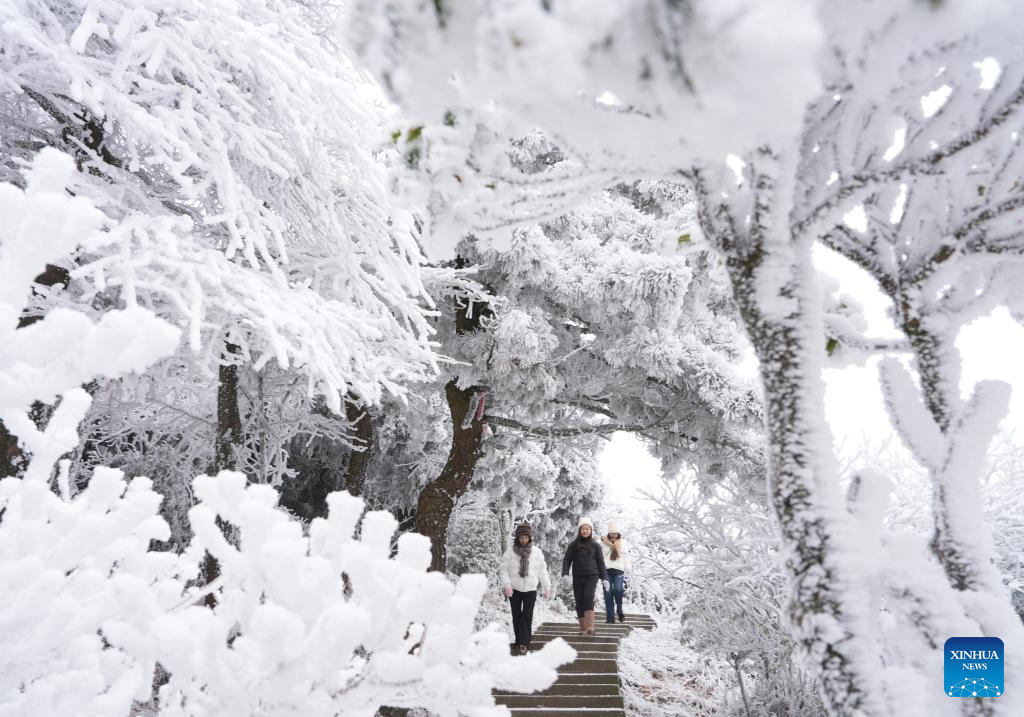 Pelancong menikmati pemandangan rime di kawasan berpemandangan indah gunung Hengshan di bandar Hengyang, provinsi Hunan, tengah China, 22 Januari 2026. (Foto oleh Cao Zhengping/Xinhua)