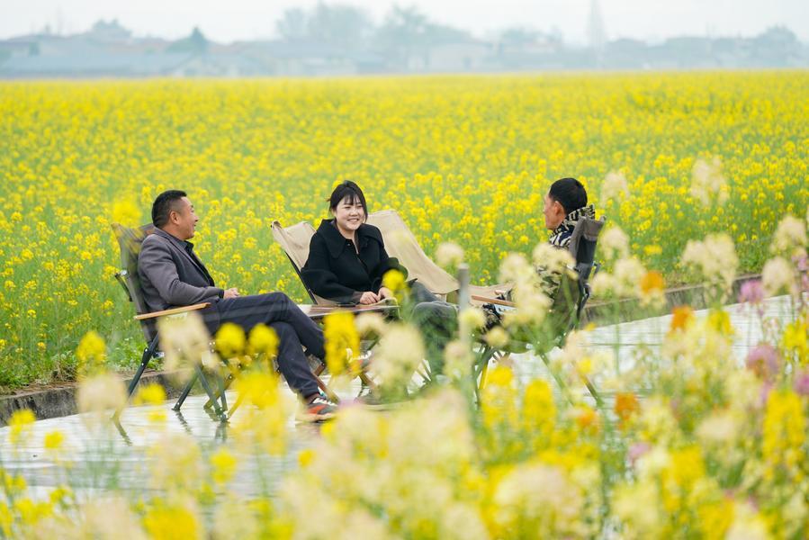 Pelancong bersantai di tengah-tengah kemekaran bunga di daerah Pengshan, bandar Meishan, provinsi Sichuan, barat daya China, 7 Mac 2026. (Foto oleh Weng Guangjian/Xinhua)