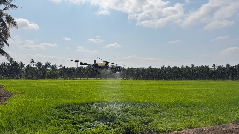Dron digunakan untuk melindungi tanaman padi di kampung Moqiao, pekan Hongqi, daerah Qionshan, bandar Haikou, provinsi Hainan, selatan China. (Foto ihsan Hainan Wutianjia Agricultural Development Co., Ltd.)