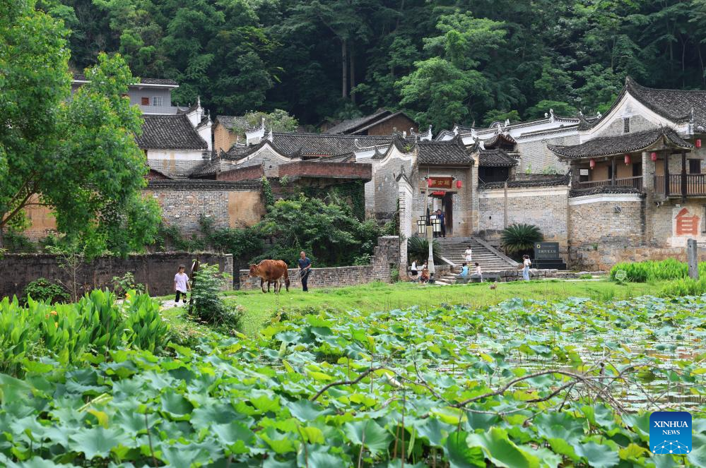 Foto dron pada 9 Mei 2026 menunjukkan kediaman purba di kampung Baojing di Yongzhou, provinsi Hunan, tengah China. (Xinhua/Zhao Zhongzhi)