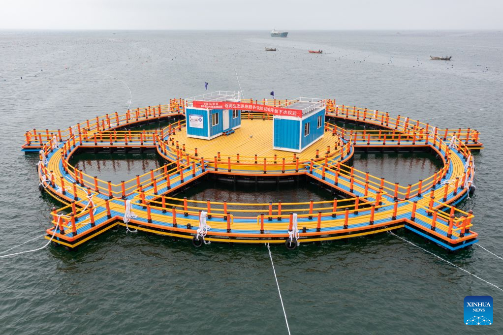 Foto dron bertarikh 10 Julai 2026 ini memaparkan platform di laut untuk eksperimen terkawal di lokasi berkaitan ekosistem pantai, selepas ditempatkan di Laut Kuning di perairan pesisir Rongcheng, provinsi Shandong, timur China. (IOCAS melalui Xinhua)