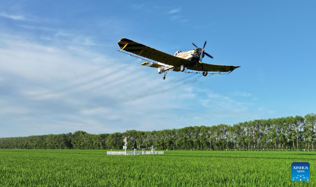 Foto dron yang diambil pada 14 Julai 2026 ini menunjukkan sebuah pesawat pertanian menjalankan operasi perlindungan tanaman dari udara di sebuah ladang Beidahuang Group di provinsi Heilongjiang, timur laut China. (Photo by Huang Yongxing/Xinhua)