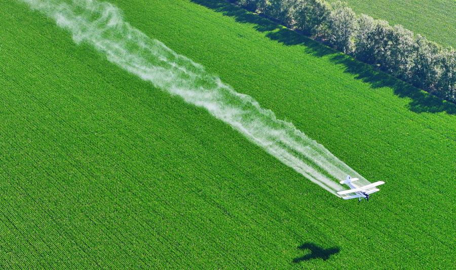 Foto dron pada 29 Julai 2026 menunjukkan pesawat pertanian menjalankan operasi melindungi tanaman dari udara di ladang jagung milik Beidahuang Group di provinsi Heilongjiang, timur laut China. (Foto oleh Ren Baoji/Xinhua)