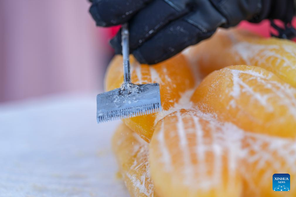 Seorang pengukir membuat arca ais yang dicelup pewarna tumbuhan di Dunia Ais dan Salji Harbin, provinsi Heilongjiang, timur laut China, 28 Januari 2026. (Xinhua/Wang Song)