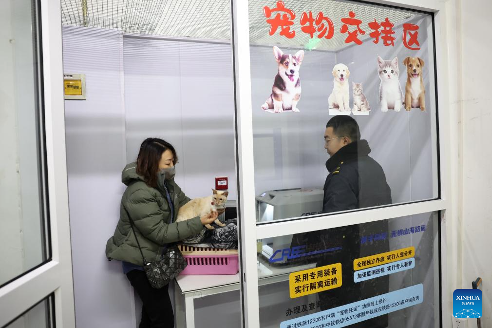 Seorang pemilik bersedia untuk memasukkan kucingnya ke dalam bekas pengangkutan di tempat penyerahan haiwan kesayangan Stesen Kereta Api Barat Lanzhou, provinsi Gansu, barat laut China, 1 Februari 2026. (Xinhua/Chen Bin)