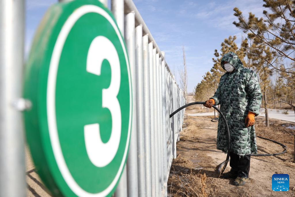 Seorang kakitangan memberi air kepada kuda Przewalski di pangkalan pembiakan kuda Przewalski di Pusat Pelindungan Haiwan Terancam Gansu, bandar Wuwei, provinsi Gansu, barat laut China, 3 Februari 2026. (Xinhua/Chen Bin)