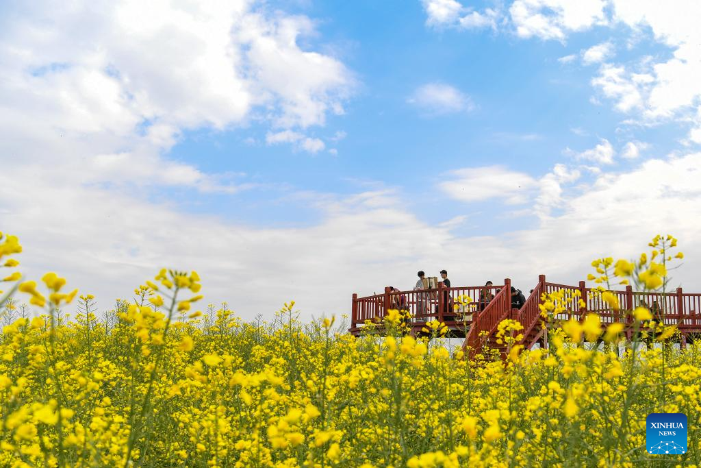 Pelajar melukis di tempat pemandangan bunga sesawi di pekan Yanghe, bandar Hanzhong, provinsi Shaanxi, barat laut China, 28 Mac 2026. (Xinhua/Zou Jingyi)
