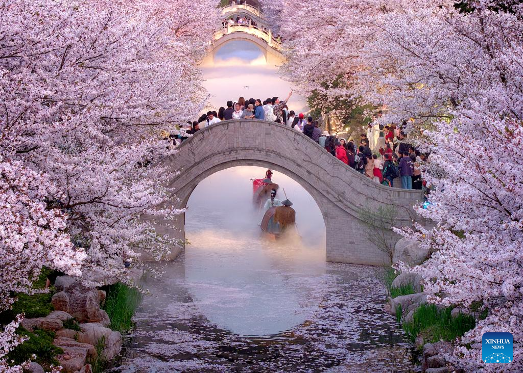 Foto dron pada 5 April 2026 menunjukkan orang ramai sedang melihat bunga ceri di sebuah tempat peranginan semasa cuti Pesta Qingming di bandar Nantong, provinsi Jiangsu, timur China. (Xu Congjun/Xinhua)