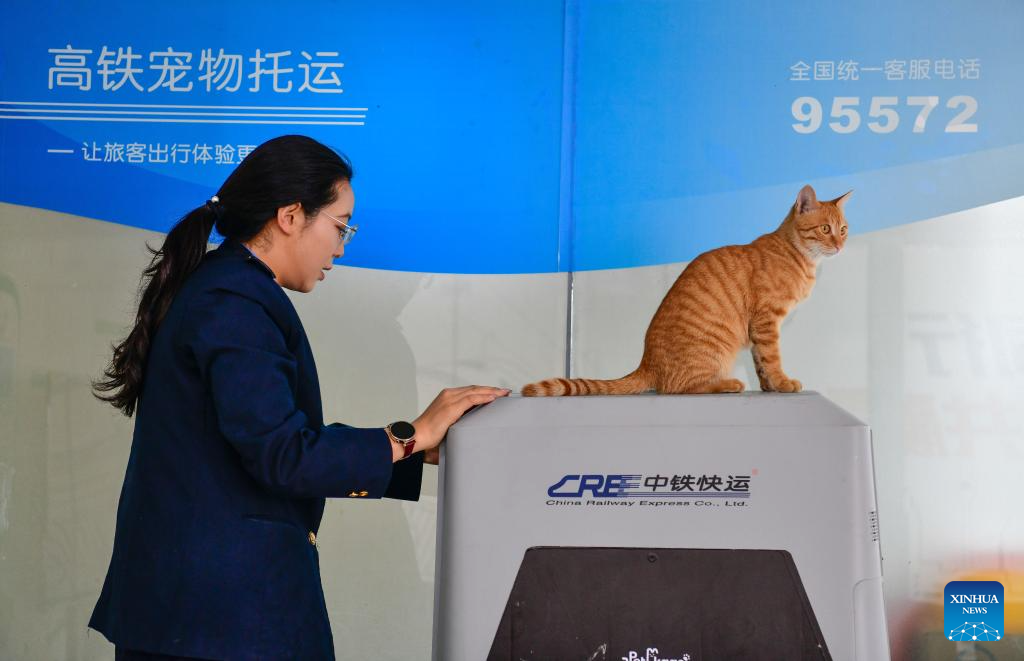 Seorang kakitangan menyesuaikan sebuah peti pengangkutan haiwan kesayangan pintar di Stesen Kereta Api Utara Guiyang, provinsi Guizhou, barat daya China, 29 April 2026. (Xinhua/Yang Wenbin)