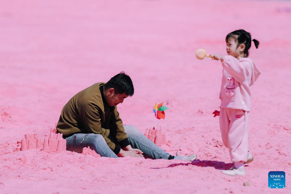 Ahli keluarga bermain di pantai buatan merah jambu di sebuah taman di Changchun, provinsi Jilin, timur laut China, 26 April 2026. (Xinhua/ Xu Chang)