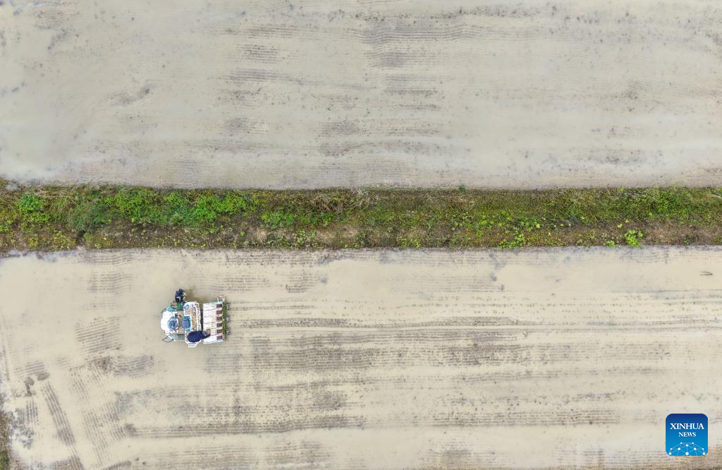 Foto dron bertarikh 7 Mei 2026 ini menunjukkan petani sibuk mengusahakan sebuah ladang di pekan Yuchi, kaunti autonomi Tujia Shizhu di Chongqing, barat daya China. (Xinhua/Tang Yi)
