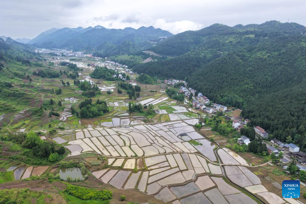Foto dron bertarikh 7 Mei 2026 ini menunjukkan tanah ladang berstandard tinggi di pekan Yuchi, kaunti autonomi Tujia Shizhu di Chongqing, barat daya China. (Xinhua/Tang Yi)