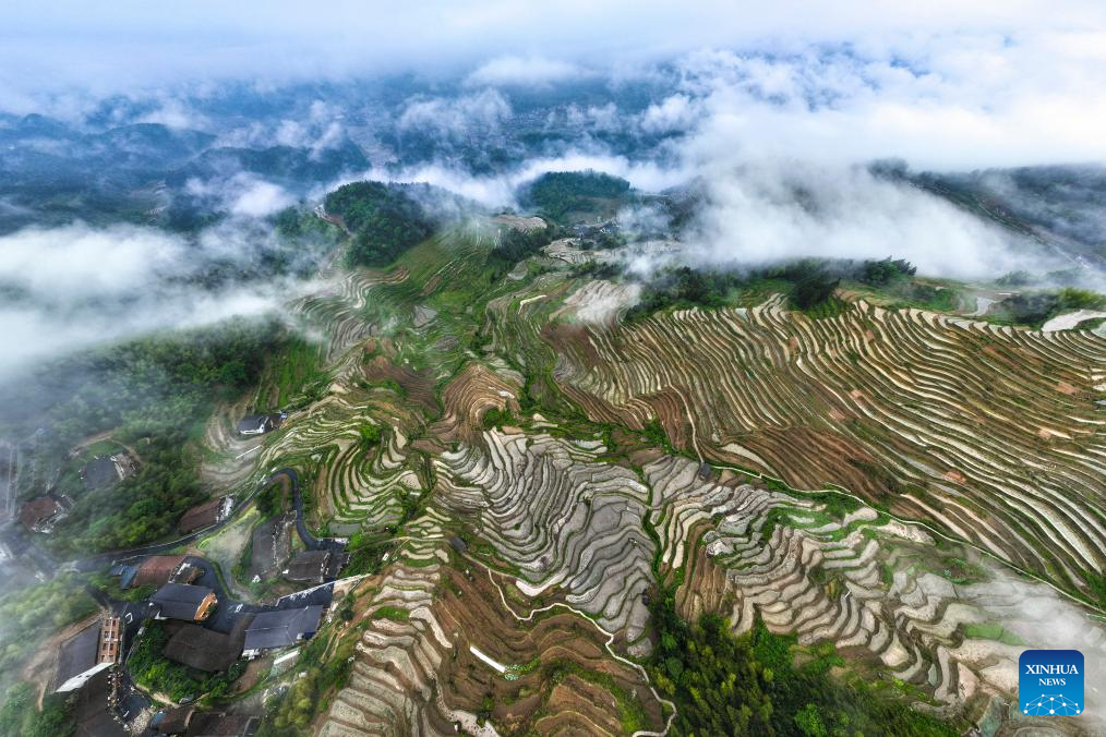 Foto dron bertarikh 13 Mei 2026 ini menunjukkan teres Ziquejie di kaunti Xinhua, provinsi Hunan, tengah China. (Foto oleh Zhou Xiuyuchun/Xinhua)