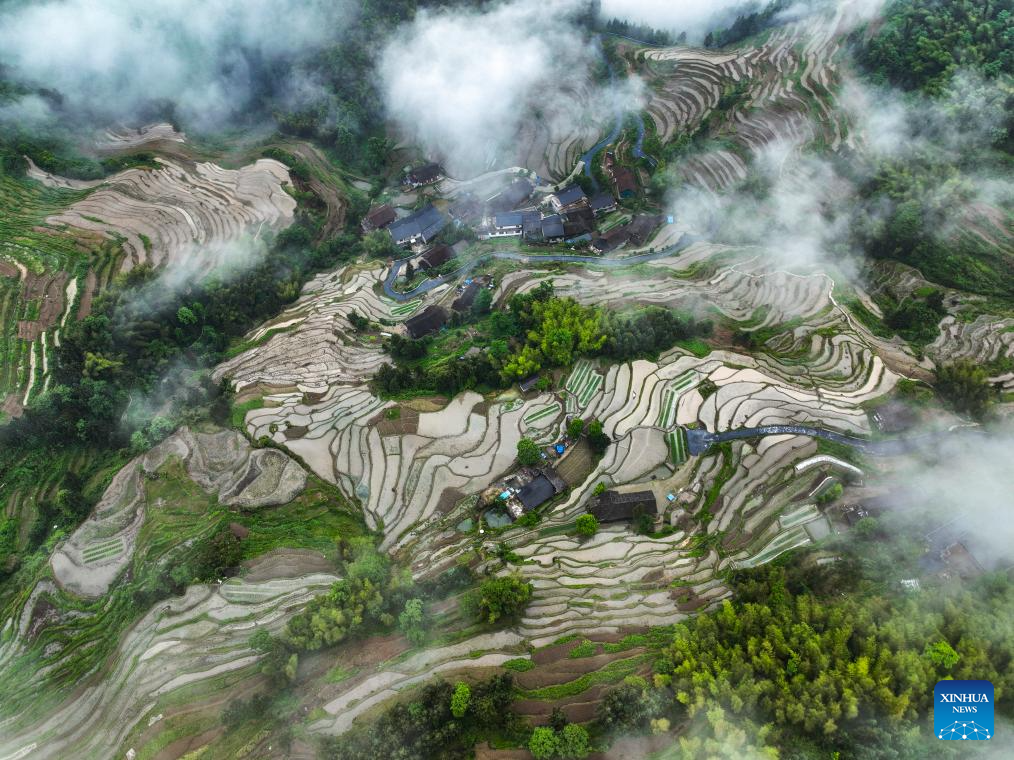 Foto dron bertarikh 13 Mei 2026 ini menunjukkan teres Ziquejie di kaunti Xinhua, provinsi Hunan, tengah China. (Foto oleh Zhou Xiuyuchun/Xinhua)