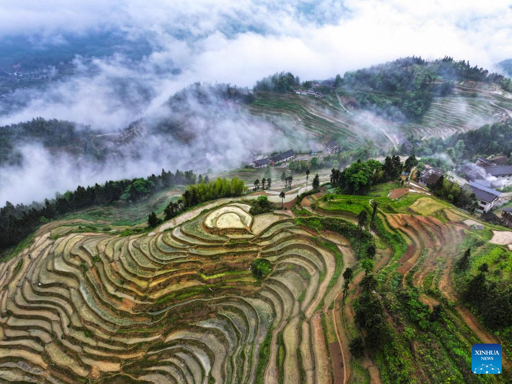 Foto dron bertarikh 13 Mei 2026 ini menunjukkan teres Ziquejie di kaunti Xinhua, provinsi Hunan, tengah China. (Foto oleh Zhou Xiuyuchun/Xinhua)