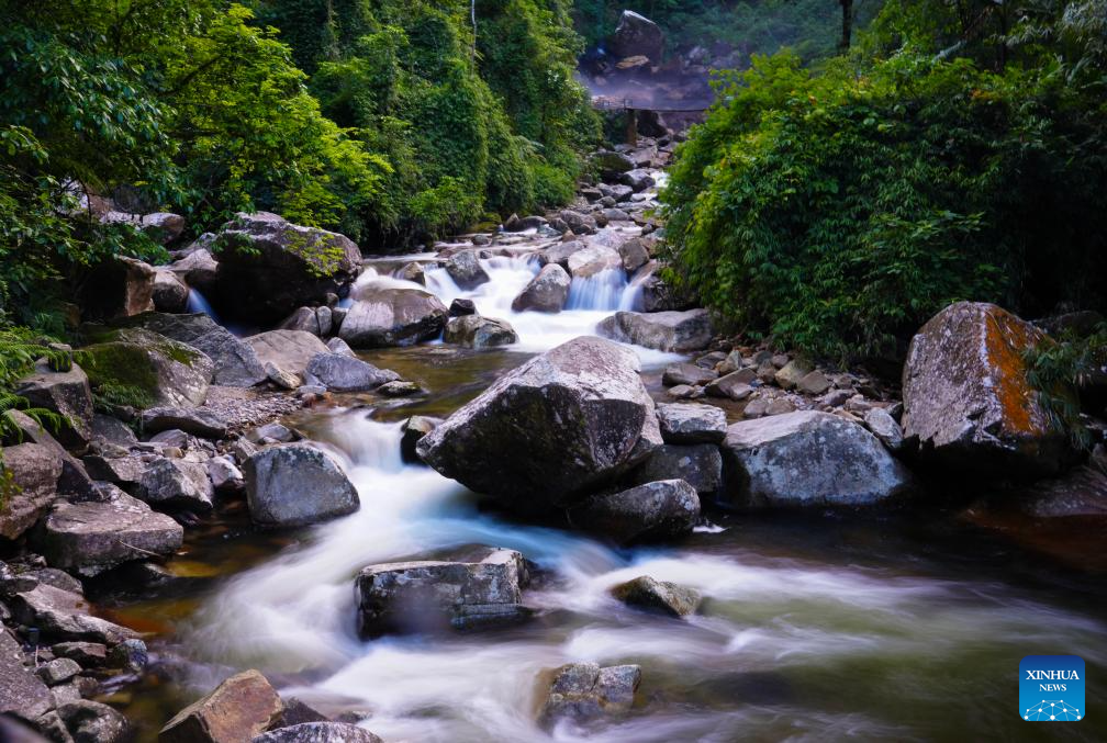Foto menunjukkan pemandangan kawasan peranginan air terjun Ladeng di kaunti autonomi Miao, Yao dan Dai Jinping di provinsi Yunnan, barat daya China, 13 Mei 2026. (Xinhua/Chen Xinbo)