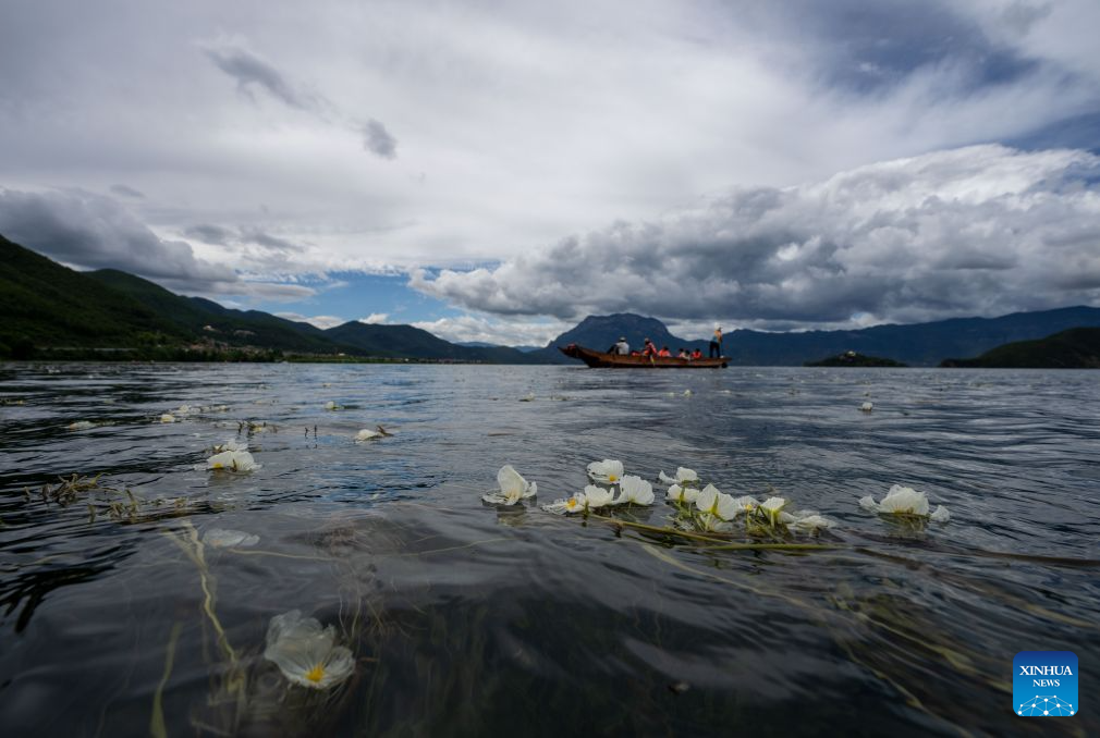 Foto dron bertarikh 3 Julai 2026 menunjukkan pelancong menaiki bot persiaran di Tasik Lugu di sempadan antara kaunti autonomi Yi Ninglang di bandar Lijiang, provinsi Yunnan dan kaunti Yanyuan di kawasan autonomi Yi Liangshan, provinsi Sichuan. (Xinhua/Hu Chao)